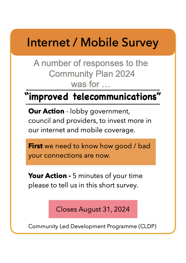 Community Connectivity Survey